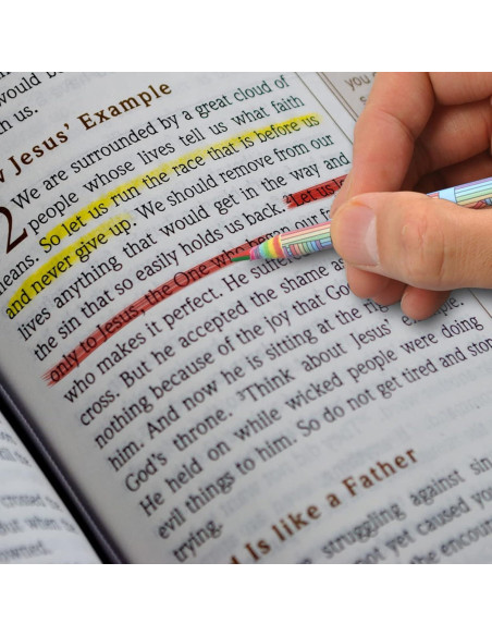 Lápices de Colores Arcoíris ECOTREE - Paquete de 12 Unidades