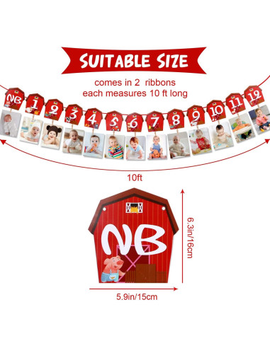 Banner de Foto de Cumpleaños de Animales de Granja Blulu 16x15cm