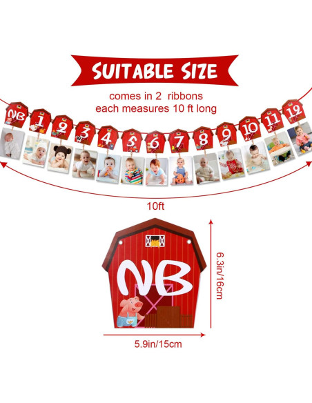 Banner de Foto de Cumpleaños de Animales de Granja Blulu 16x15cm