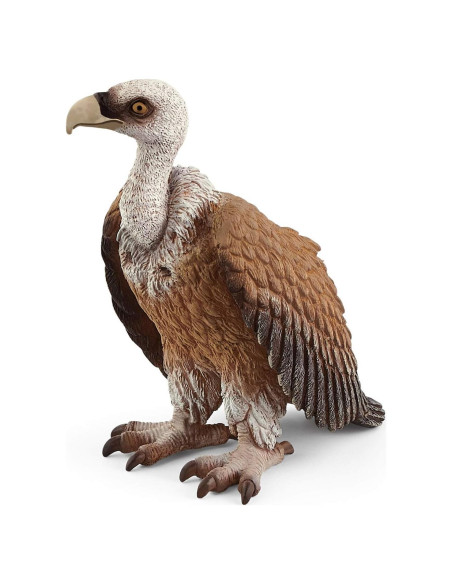 Figura de Buitre Schleich Vida Salvaje 6.1x3.9x6.7cm 3-8 años Figura de Buitre Schleich Vida Salvaje 6.1x3.9x6.7cm 3-8 años
