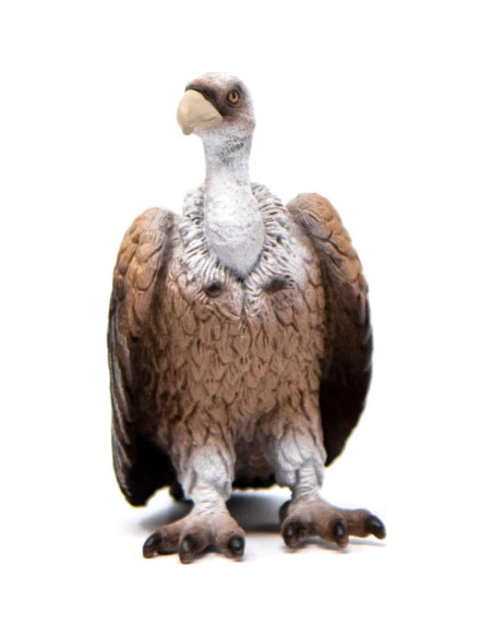 Figura de Buitre Schleich Vida Salvaje 6.1x3.9x6.7cm 3-8 años Figura de Buitre Schleich Vida Salvaje 6.1x3.9x6.7cm 3-8 años