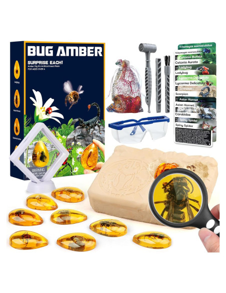 Kit de Excavación de Insectos Woumserta - 8 Especímenes Kit de Excavación de Insectos Woumserta - 8 Especímenes