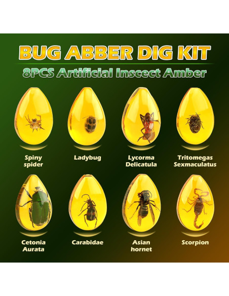 Kit de Excavación de Insectos Woumserta - 8 Especímenes Kit de Excavación de Insectos Woumserta - 8 Especímenes