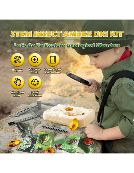 Kit de Excavación de Insectos Woumserta - 8 Especímenes Kit de Excavación de Insectos Woumserta - 8 Especímenes