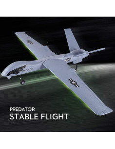 Avión RC Predator 2.4GHz 2 Canales con Giroscopio 660mm 2