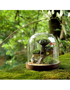 Musgo Preservado NAHUAA 0.20 m Verde para Decoración 2