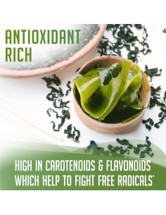 Polvo de Kelp Orgánico XPRS Nutra 113.4 g - Suplemento Vegano 2