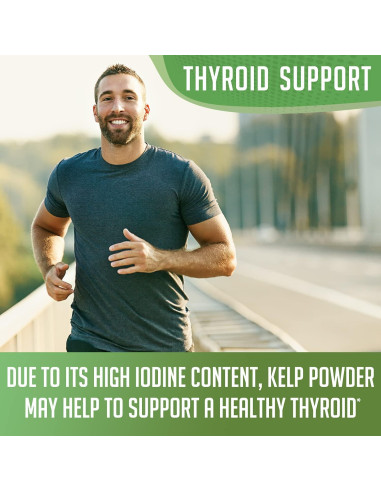 Polvo de Kelp Orgánico XPRS Nutra 113.4 g - Suplemento Vegano