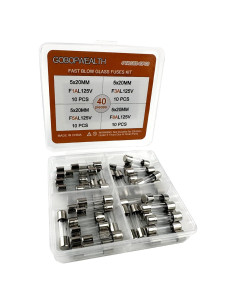 Kit de Fusibles de Vidrio GOBOFWEALTH 5x20mm 40PCS 125V