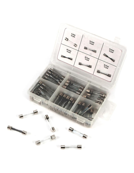 Kit de Fusibles de Vidrio AGC 60 Piezas Performance Tool W5375 Kit de Fusibles de Vidrio AGC 60 Piezas Performance Tool W5375