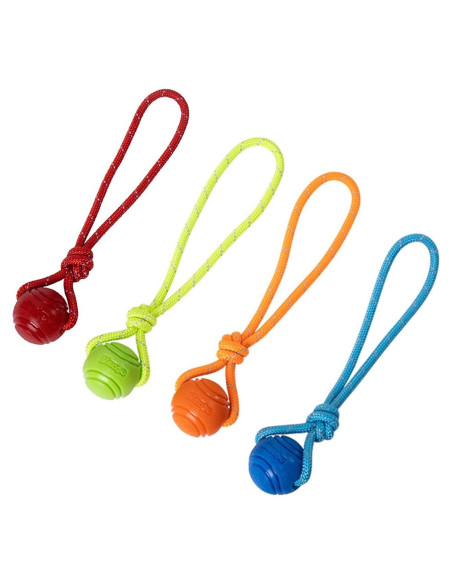 Pelota de Entrenamiento para Perros Vitalili 5cm con Cuerda