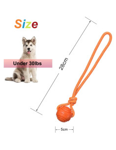 Pelota de Entrenamiento para Perros Vitalili 5cm con Cuerda 2