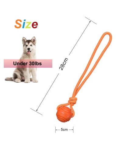Pelota de Entrenamiento para Perros Vitalili 5cm con Cuerda