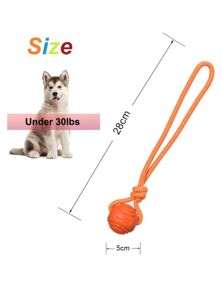Pelota de Entrenamiento para Perros Vitalili 5cm con Cuerda