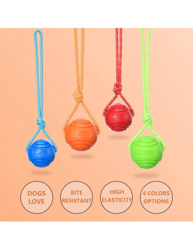 Pelota de Entrenamiento para Perros Vitalili 5cm con Cuerda