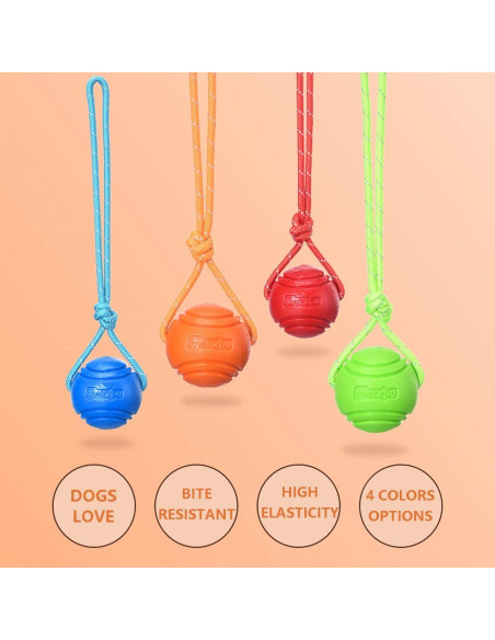 Pelota de Entrenamiento para Perros Vitalili 5cm con Cuerda