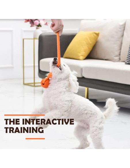 Pelota de Entrenamiento para Perros Vitalili 5cm con Cuerda