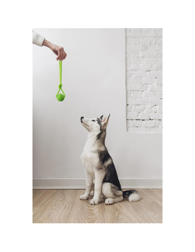 Pelota de Entrenamiento para Perros Vitalili 5cm con Cuerda