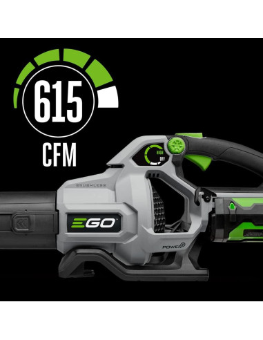 Soplador de Hojas EGO Power+ 615 CFM Inalámbrico