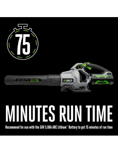 Soplador de Hojas EGO Power+ 615 CFM Inalámbrico