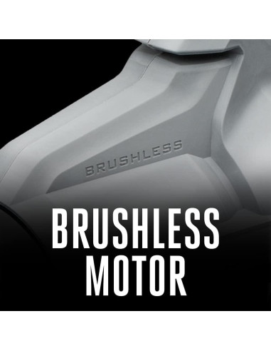 Soplador de Hojas EGO Power+ 615 CFM Inalámbrico