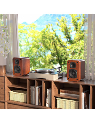 Altavoces de Estantería Saiyin DS6701UP Bluetooth 2.6kg