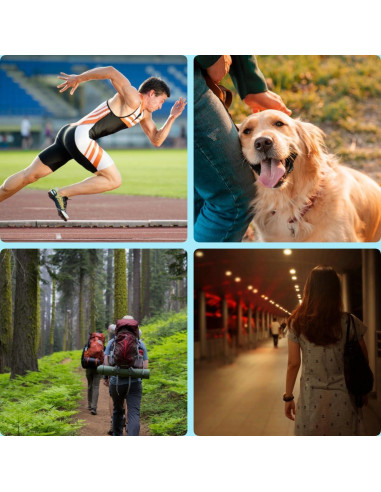 Silbato Electrónico WANJOTEC Azul 130dB 3 Tonos Ajustables