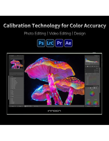 Monitor Portátil INNOCN 15.6" OLED Táctil 4K USB-C