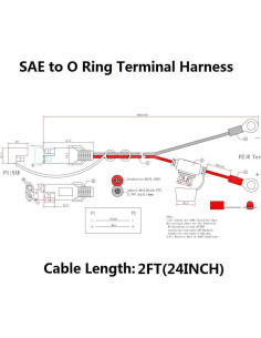 6 Pack Cable SAE a Anillo Terminal 0.61m 16AWG con Fusible 10A 2
