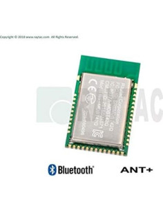 Módulo Bluetooth Raytac MDBT42Q-P192KV2 SoC nRF52810 2