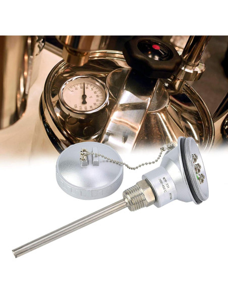 Sonda de Temperatura PT100 Bediffer 100mm NPT Industrial