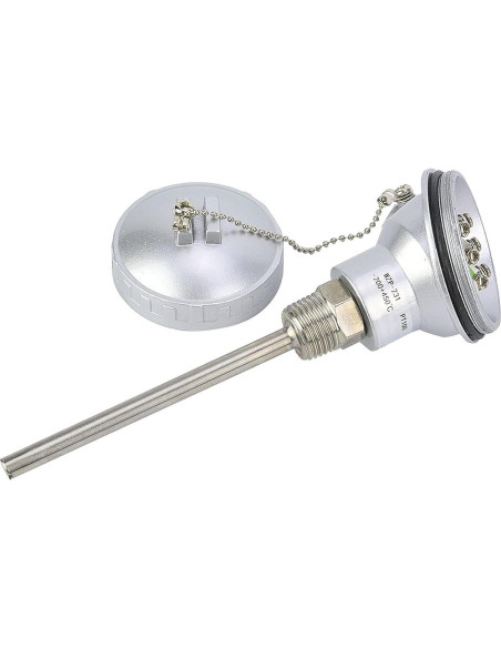 Sonda de Temperatura PT100 Bediffer 100mm NPT Industrial