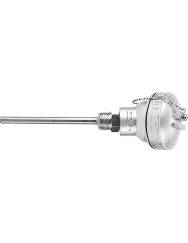 Sonda de Temperatura PT100 Bediffer 100mm NPT Industrial