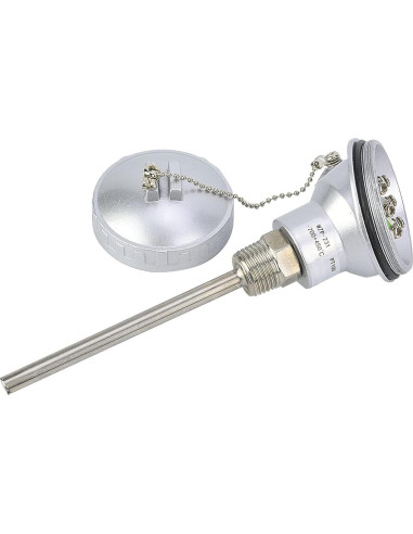 Sonda de Temperatura PT100 Bediffer 100mm NPT Industrial