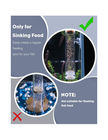 Plato de Alimentación para Peces y Camarones Pawfly 30.48cm