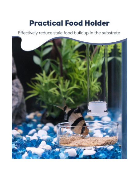 Plato de Alimentación para Peces y Camarones Pawfly 30.48cm