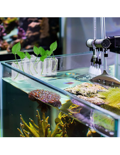 Soporte de Planta para Acuario Aidmi 2PC Transparente 7 Agujeros 2