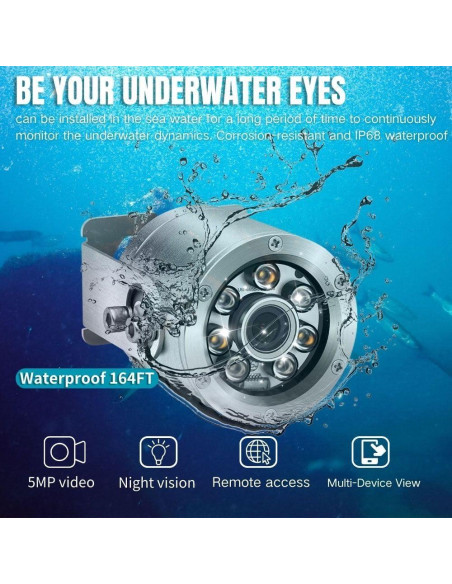 Cámara Submarina Barlus 5MP IP68 con Luz y Cable 9.75m