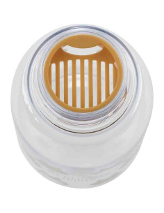 Botella de Agua Skater PTY5-A 500 ml Infusor Totoro 2