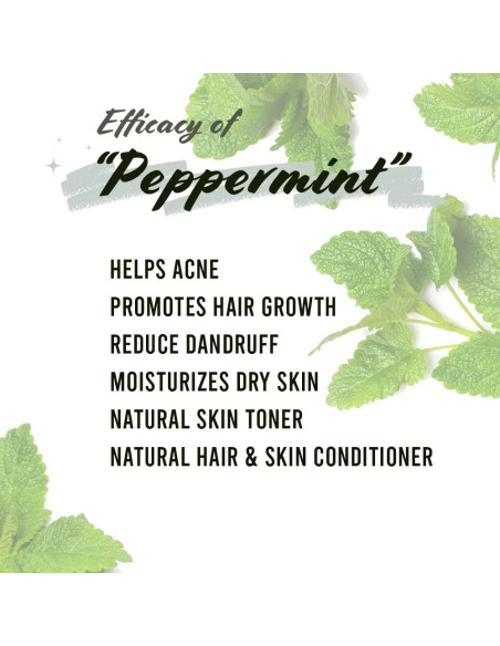 Aceite de Menta Seco Well's 45.36g Cuidado Cabello Piel