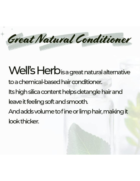 Aceite de Menta Seco Well's 45.36g Cuidado Cabello Piel