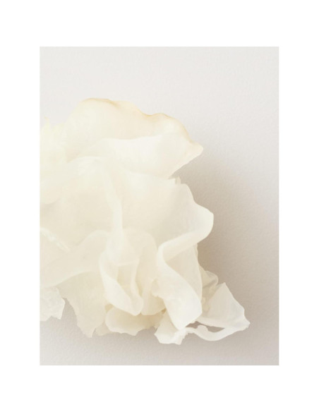 Máscara Capilar AG Care Nourish Snow Mushroom 148 ml - Acondicionador Profundo