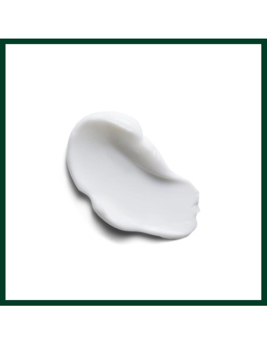 Crema de Estilo Aveda Smooth Infusion 38.6 ml - Cabello Liso