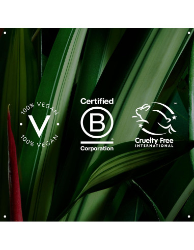 Crema de Estilo Aveda Smooth Infusion 38.6 ml - Cabello Liso