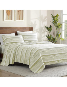 Juego de Sábanas Completo ClevaHome 4 Piezas Microfibra Raya Salvia 2