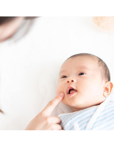 Bastón Hidratante para Bebé Safflower Safari 100% Natural