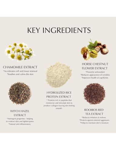 Tónico Hidratante Natural FirstBase 100ml - Esencia Aloe 2-en-1