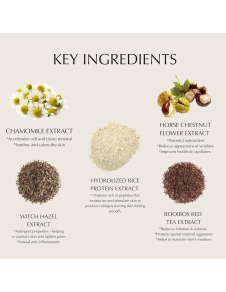 Tónico Hidratante Natural FirstBase 100ml - Esencia Aloe 2-en-1