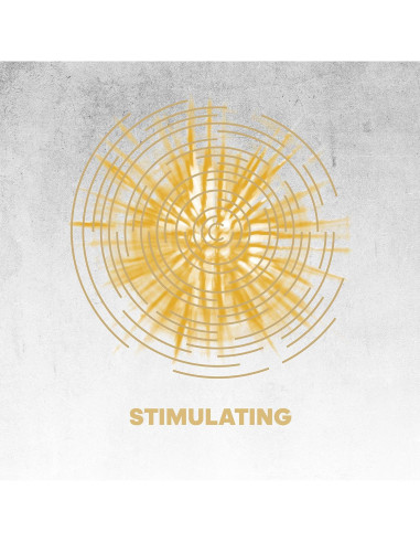 Gel de Ducha 3 en 1 Estimulante Guarana Adidas 250ml