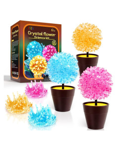 Kit de Crecimiento de Cristales GobiDex para Niños 6-12 Años